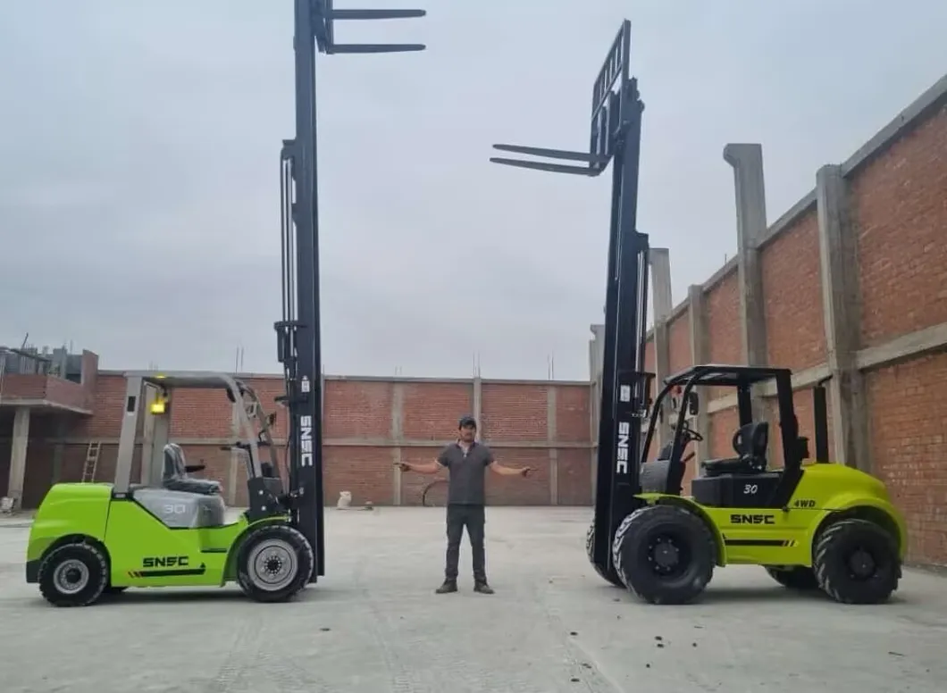 3 Ton Diesel Electric LPG Forklift Montacargas for Sale