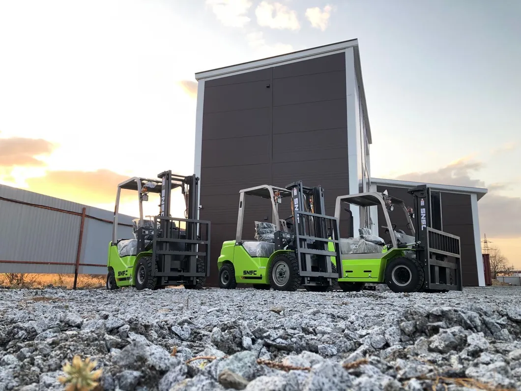 3 Ton Diesel Electric LPG Forklift Montacargas for Sale