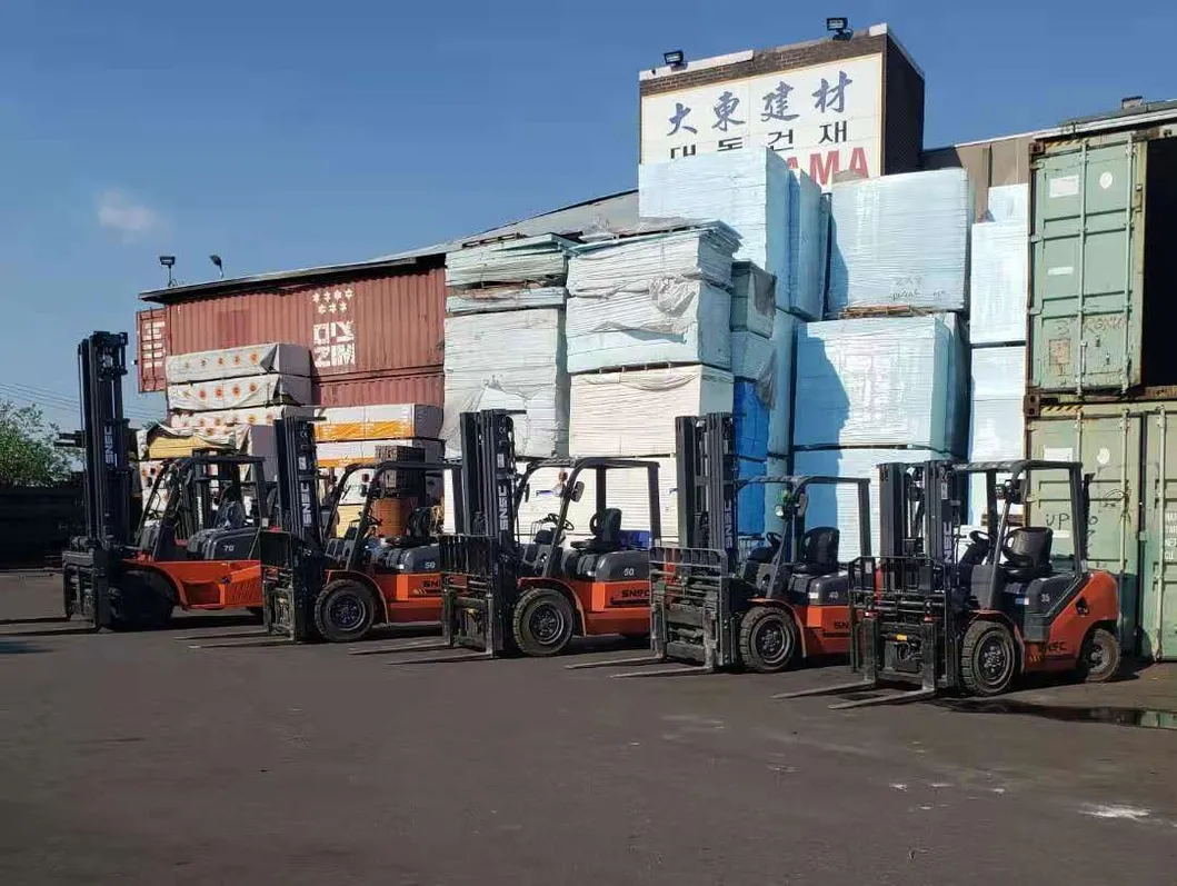 3 Ton Diesel Electric LPG Forklift Montacargas for Sale